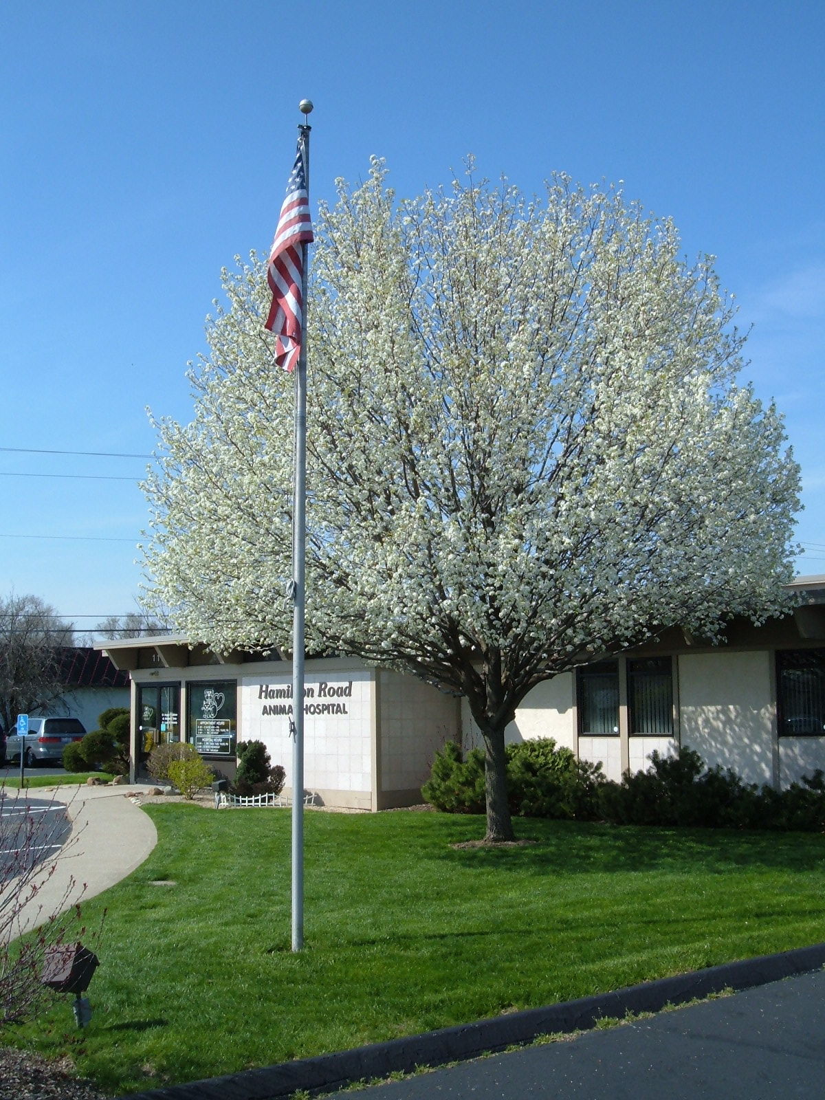Hamilton Road Animal Hospital - Columbus , United States