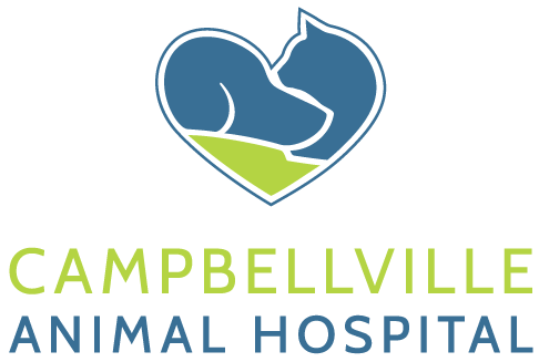 Campbellville Animal Hospital - Campbellville , Canada