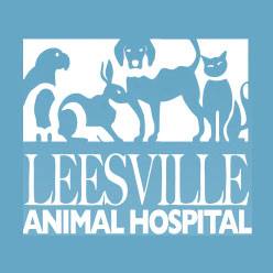 Leesville Animal Hospital Pa - Raleigh , United States