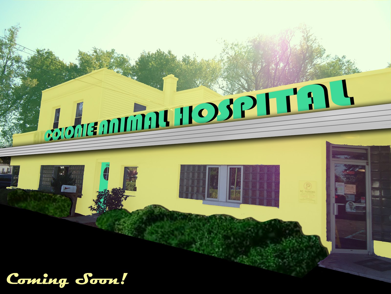 Colonie Animal Hospital - Albany , United States