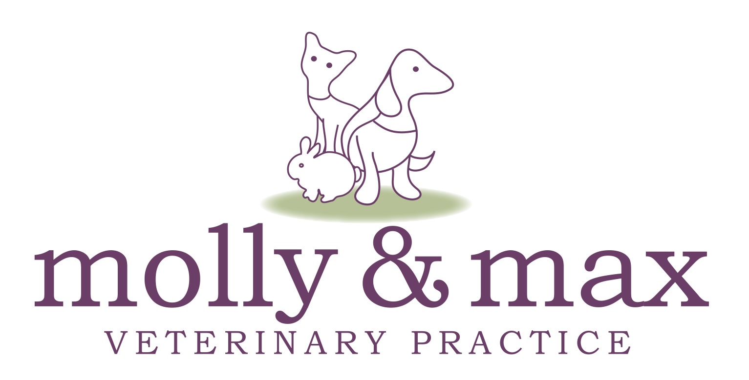 Medivet Parsons Green Molly And Max Vets - London , United Kingdom