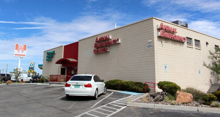 El Paso Animal Emergency - El Paso , United States