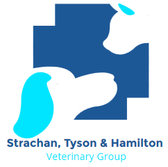 Strachan Veterinary Practice Tynemouth - North Shields , United Kingdom