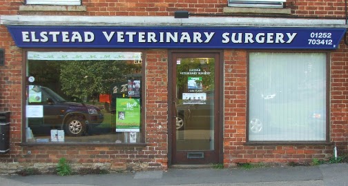 Elstead Veterinary Surgery - Guildford , United Kingdom