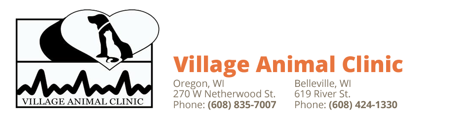 Village Animal Clinic - Oregon , United States