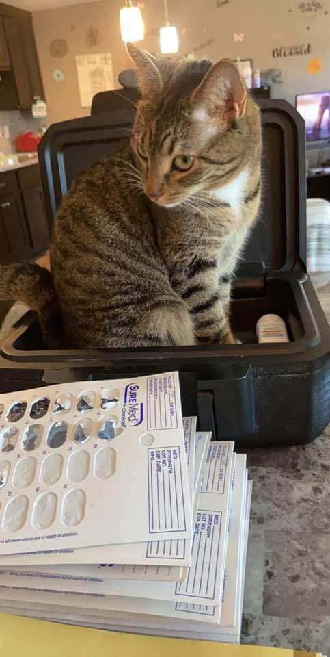 Allen Veterinary Hospital - Fort Wayne , United States