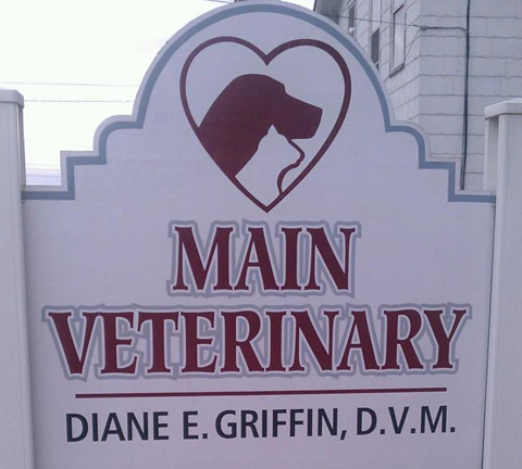 Main Veterinary Hospital - Adrian , United States