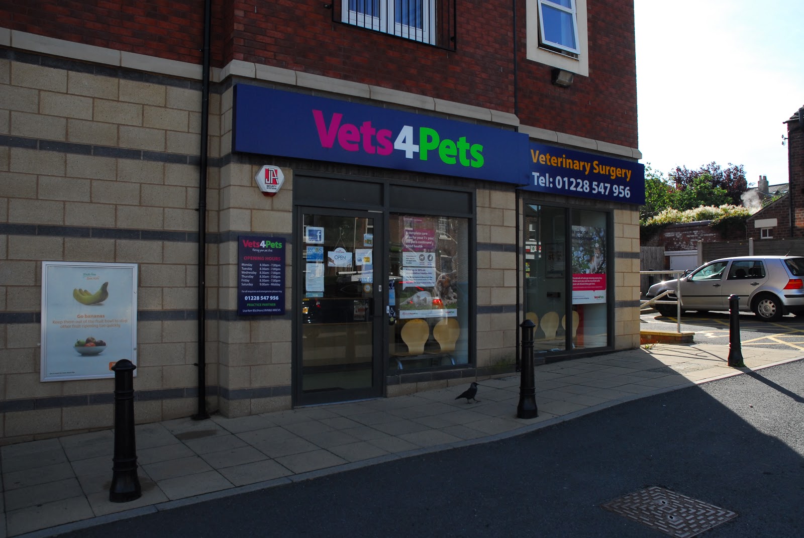 Carlisle Vets4Pets - Carlisle , United Kingdom
