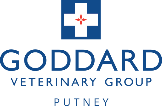 Goddard Vet Group Putney - Putney , United Kingdom