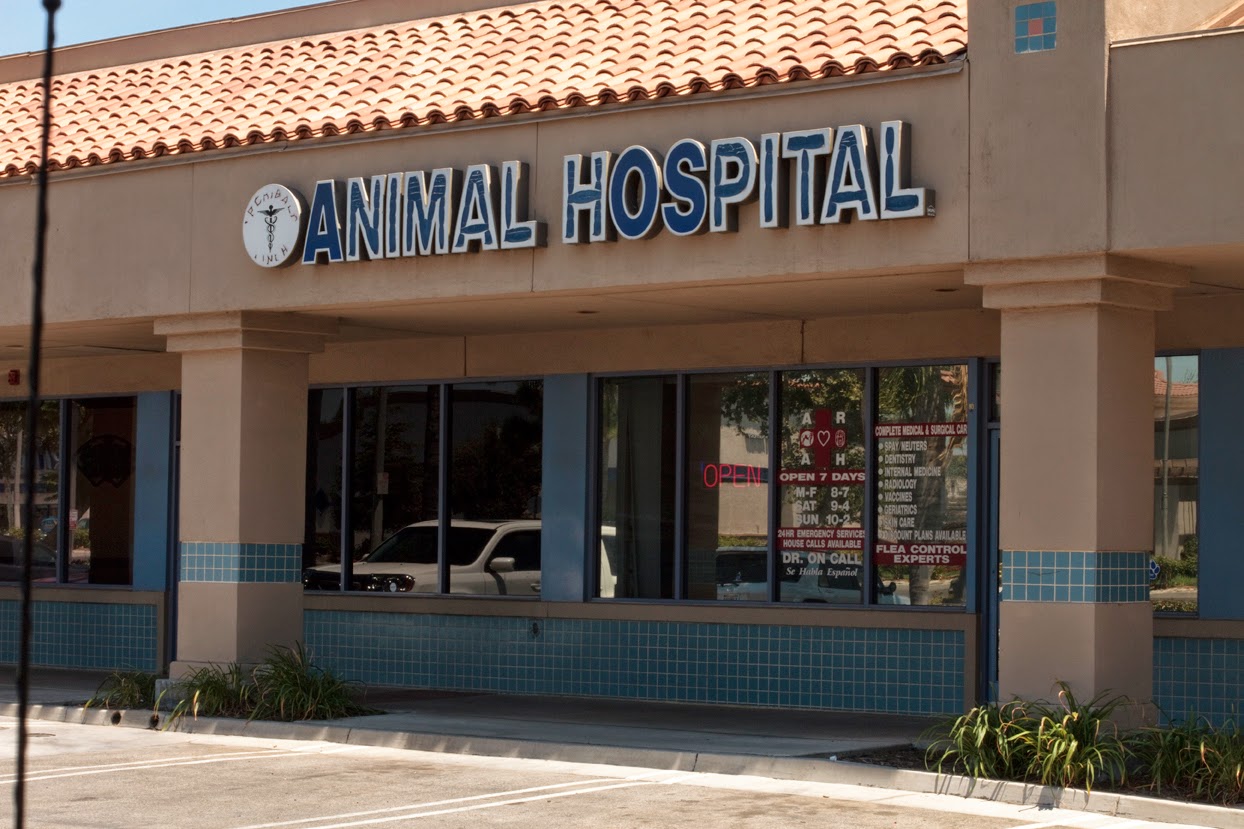 A R Animal Hospital - Ontario , United States