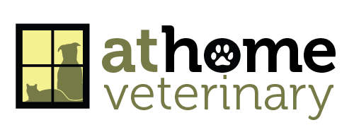 At Home Veterinary - Boston , United States