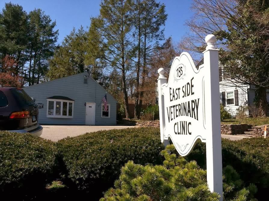 East Side Veterinary Clinic - Meriden , United States