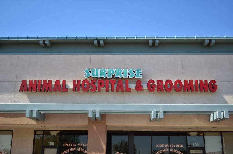 Lovet Pet Health Care Surprise - Surprise , United States