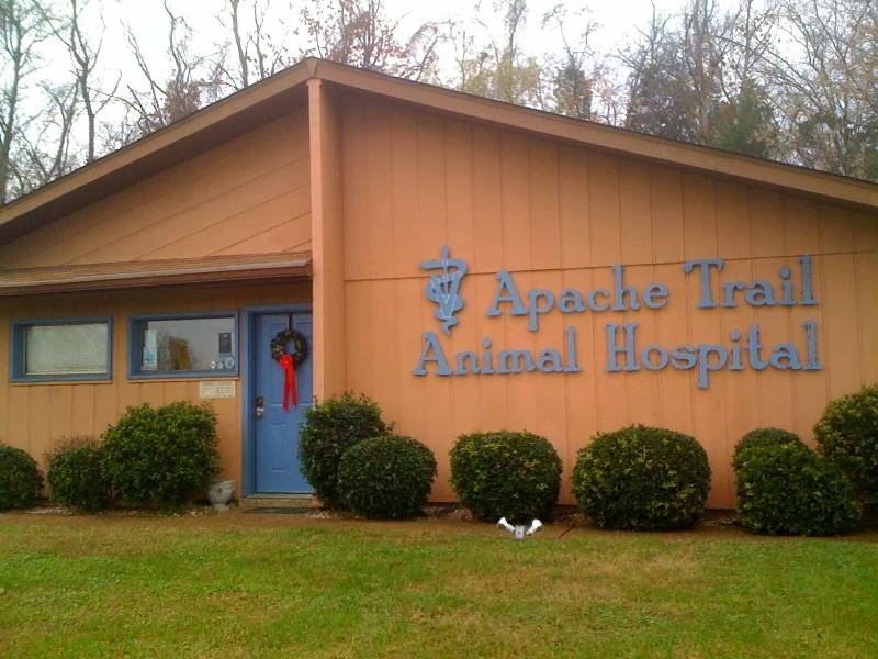 Heart + Paw - Antioch , United States