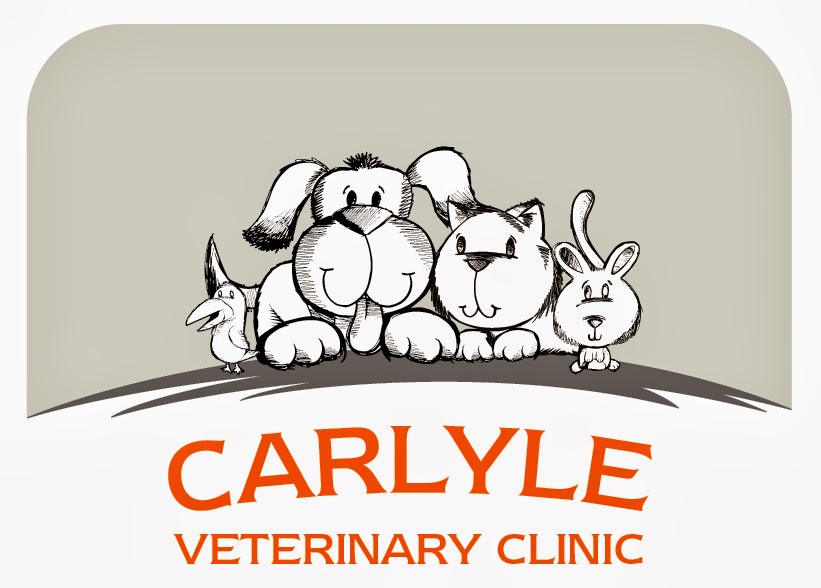 Carlyle Veterinary Clinic - Napier , New Zealand