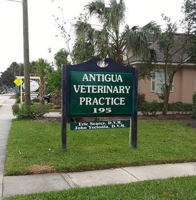 Antigua Veterinary Practice, 195 San Marco Avenue, St. Augustine