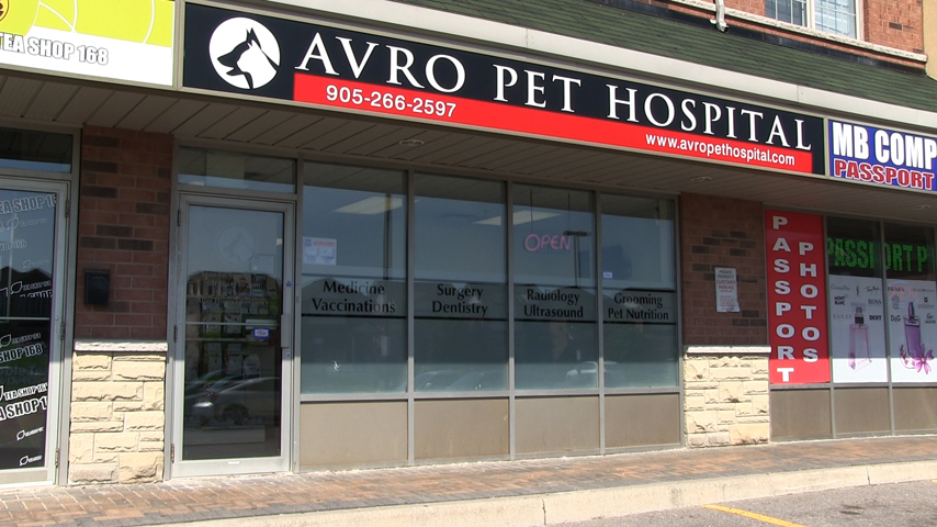 Avro Pet Hospital - Vaughan , Canada