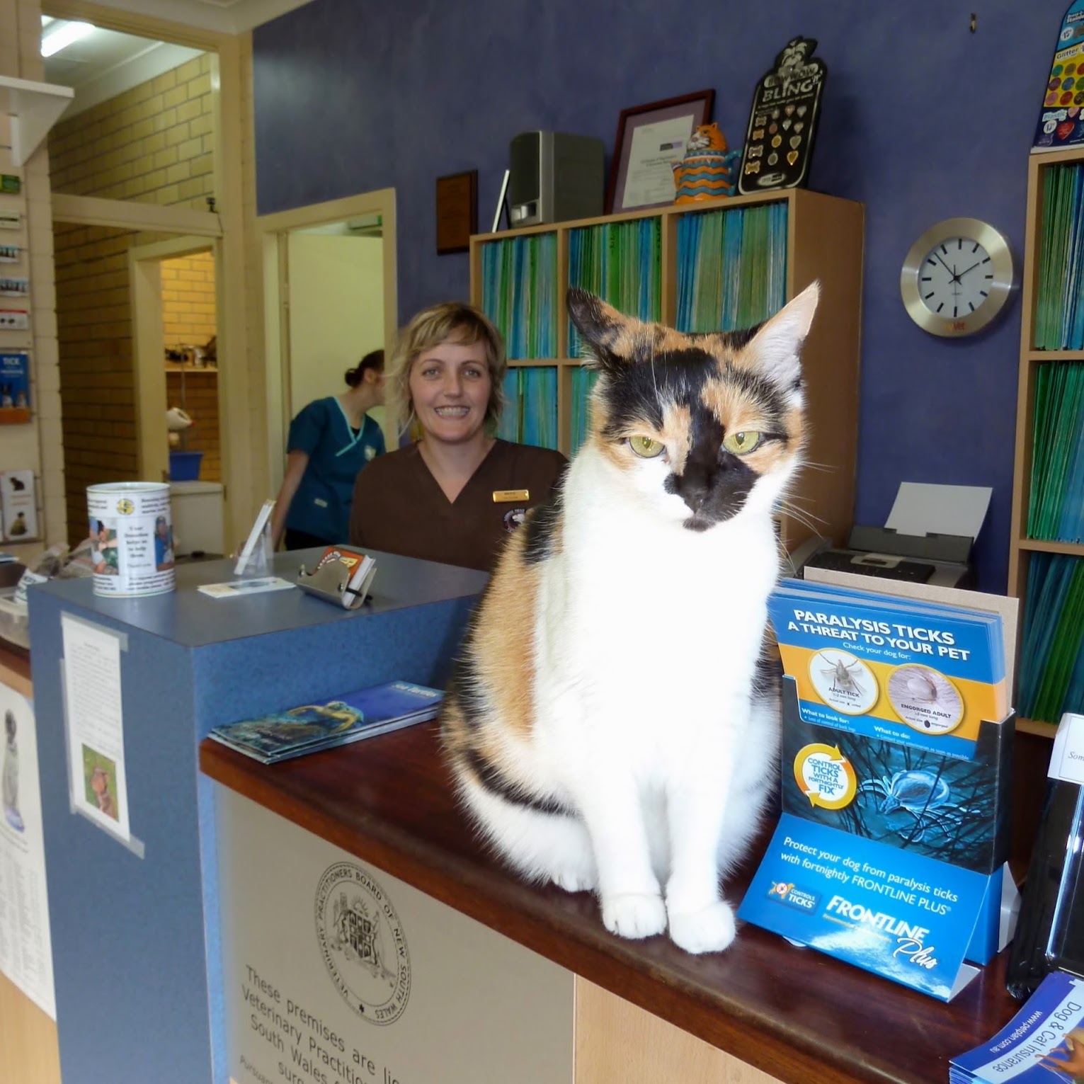 Lennox Head Veterinary Clinic - Lennox Head , Australia