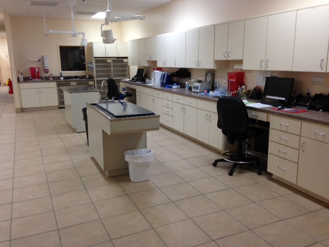 4Th Street Pet Hospital - St. Petersburg , United States