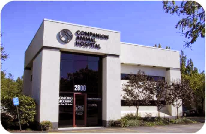 Companion Animal Hospital - Rochester , United States
