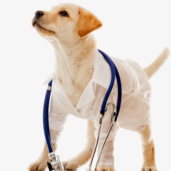 Swanbourne Veterinary Centre - Swanbourne , Australia