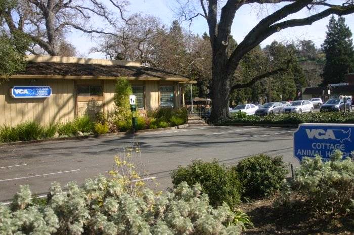 Vca Cottage Animal Hospital - Walnut Creek , United States