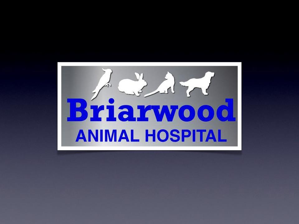 Briarwood Animal Hospital - Stoney Creek , Canada