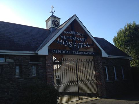 Faxbridge Veterinary Hospital - Clonakilty , Ireland