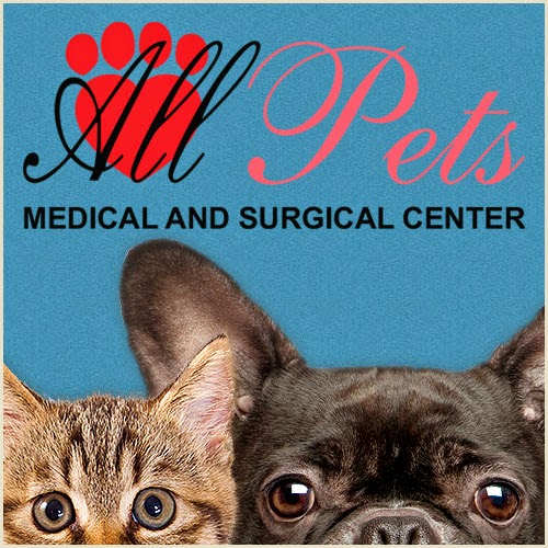All Pets Medical And Surgical Center - Phillips Ranch , United States