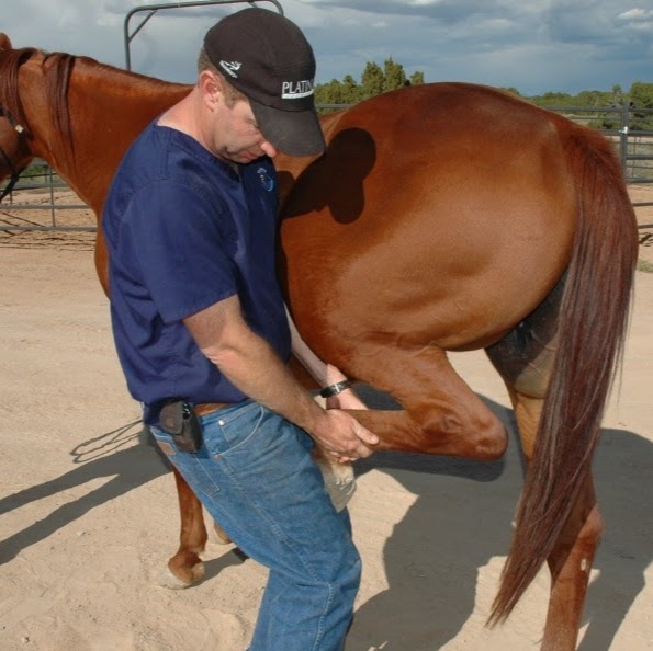 Thal Equine - Santa Fe , United States