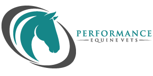 Performance Equine Vets - Aiken , United States