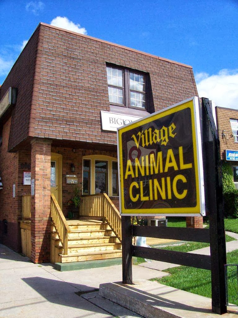 Village Animal Clinic - Markham , Canada