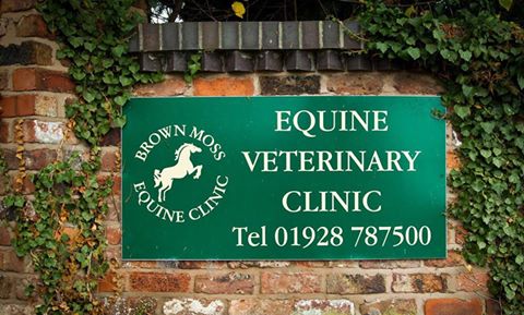 Brown Moss Equine Clinic - Frodsham , United Kingdom