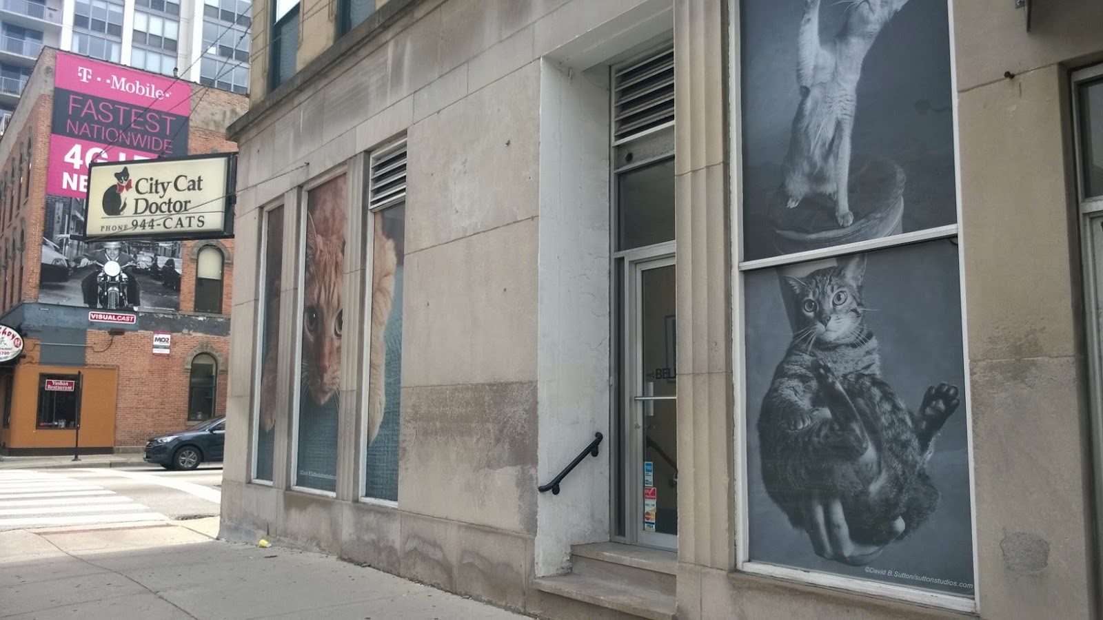 City Cat Doctor - Chicago , United States