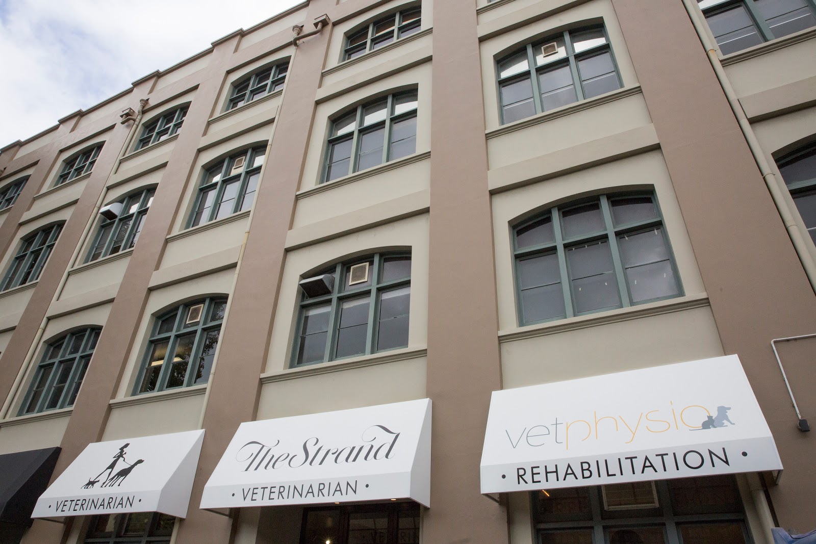 The Strand Veterinarian - Auckland , New Zealand