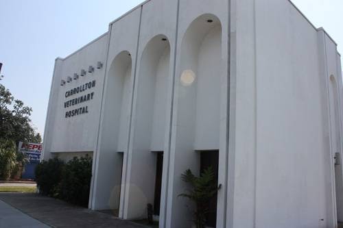 Carrollton Veterinary Hospital - New Orleans , United States