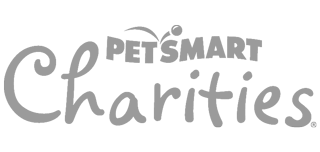 Norfolk Spca Community Spay Neuter Clinic - Norfolk , United States