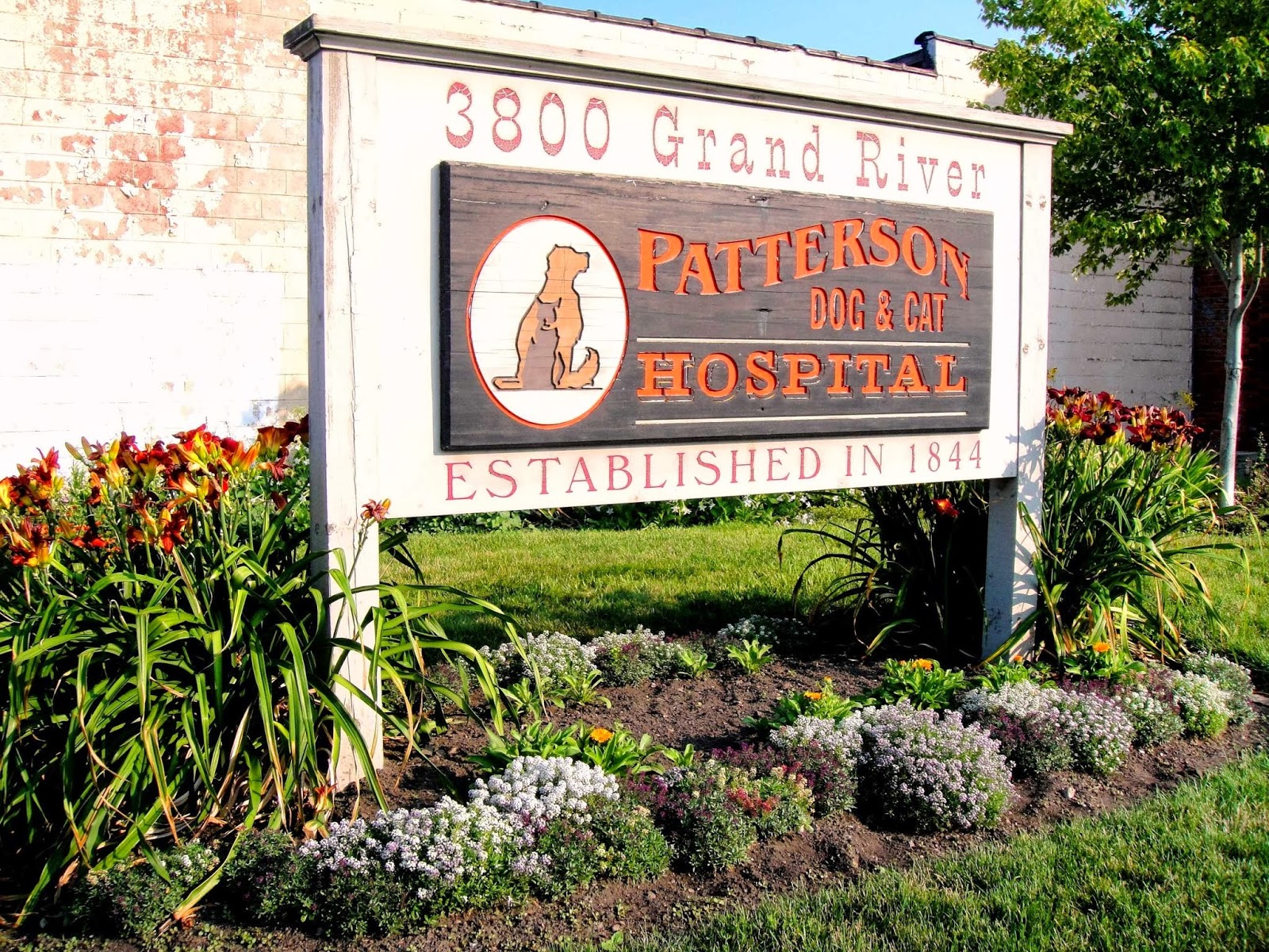 Patterson Dog And Cat Hospital - Detroit , United States