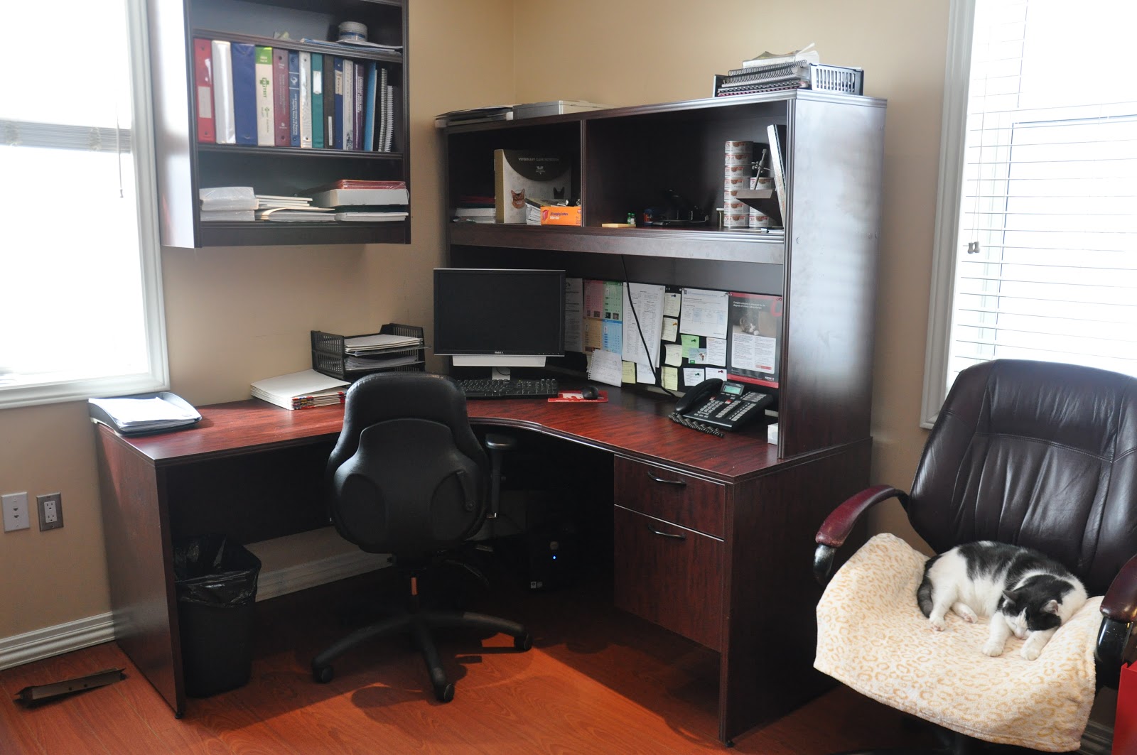 Acton Veterinary Clinic - Acton , Canada