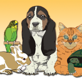 Montmorency Veterinary Hospital - Montmorency , Australia