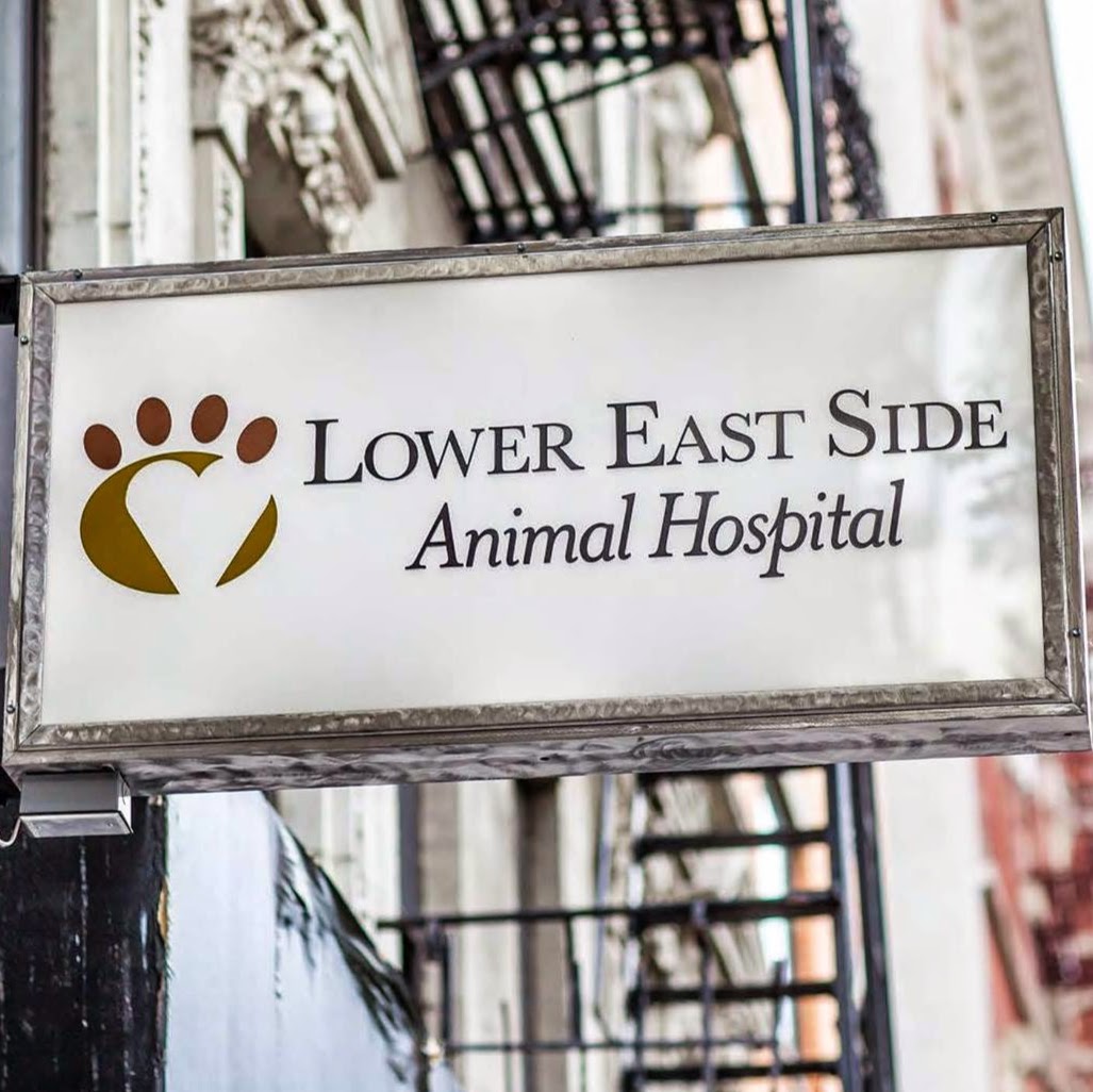 Heart Of Chelsea Veterinary Group Lower East Side - New York , United States