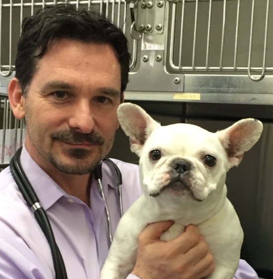 Atlantic Coast New York Veterinary Specialists - Bohemia , United States