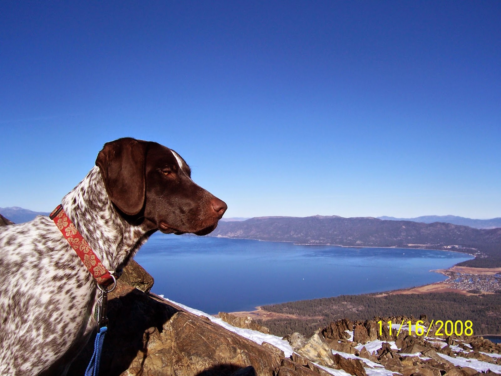 Timberline Animal Hospital - Carson City , United States