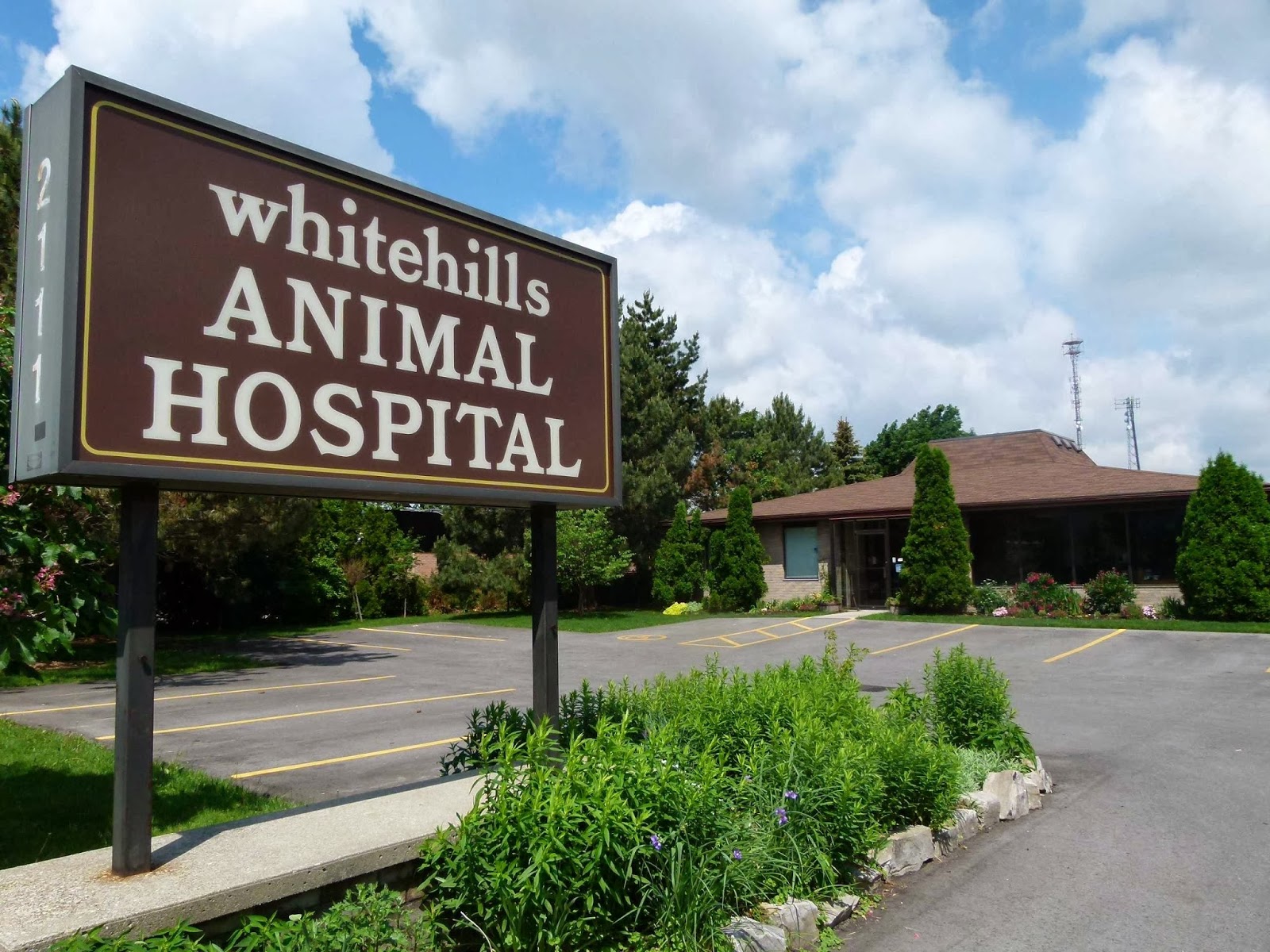 Whitehills Animal Hospital - London , Canada