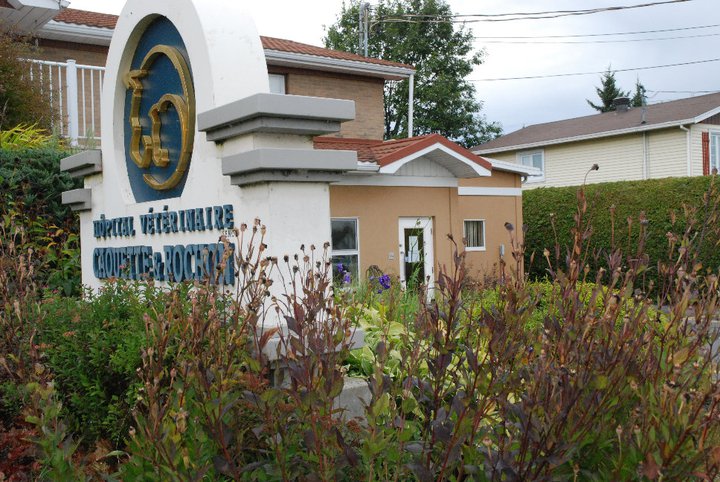 Veterinary Hospital Caouette And Rochon Gp - Drummondville , Canada