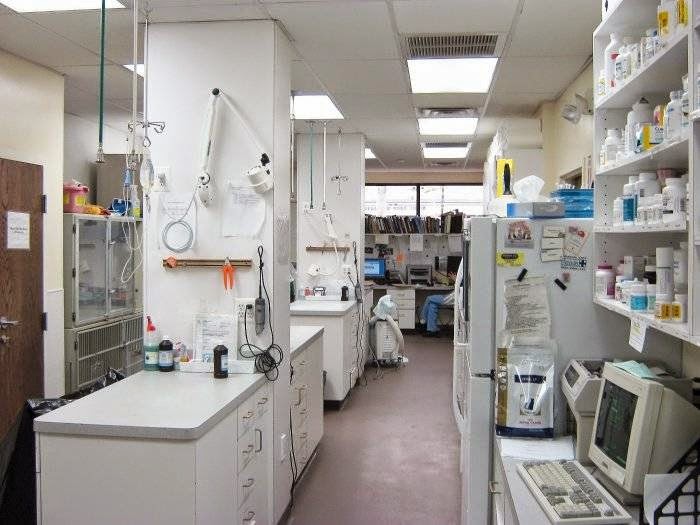 County Animal Clinic - Yonkers , United States