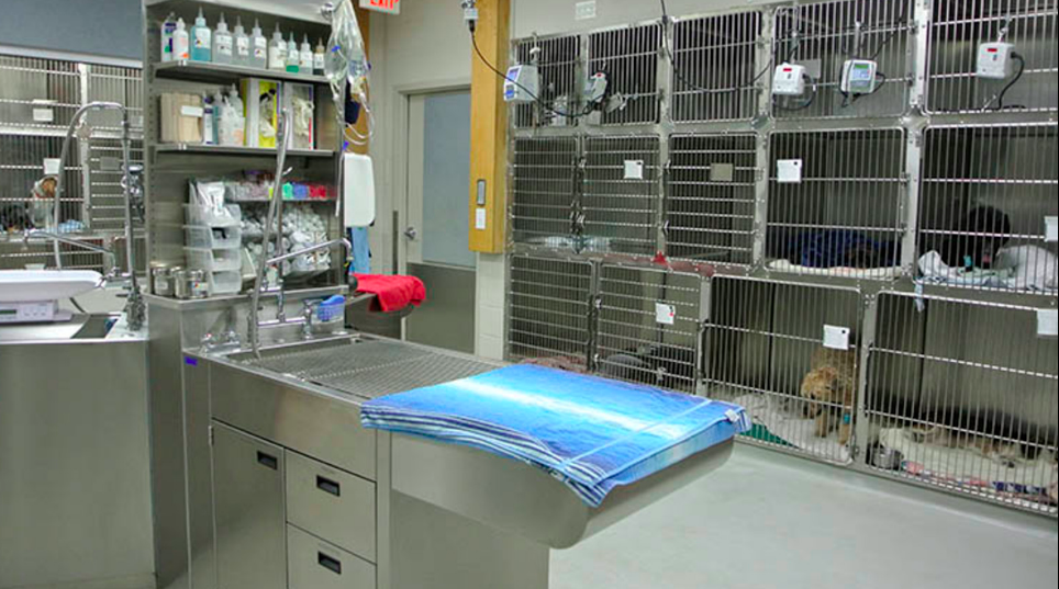 Suburban Animal Hospital - Arlington , United States