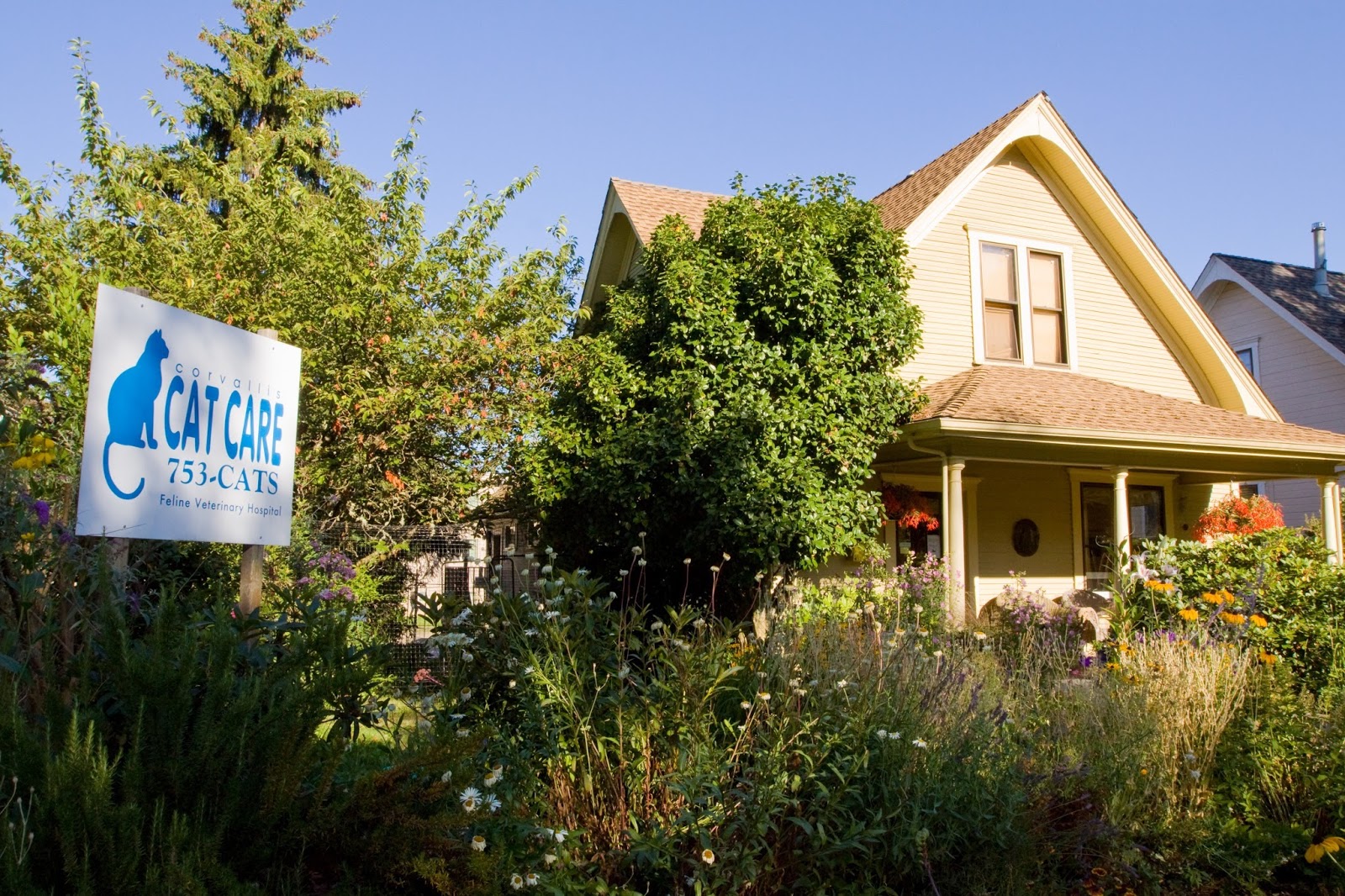 Corvallis Cat Care Veterinary Hospital For Cats - Corvallis , United States
