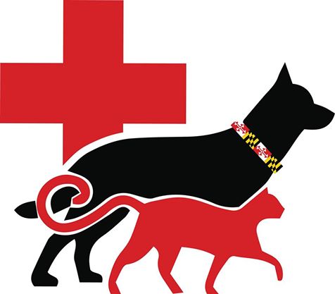 College Park Animal Hospital - College Park , United States