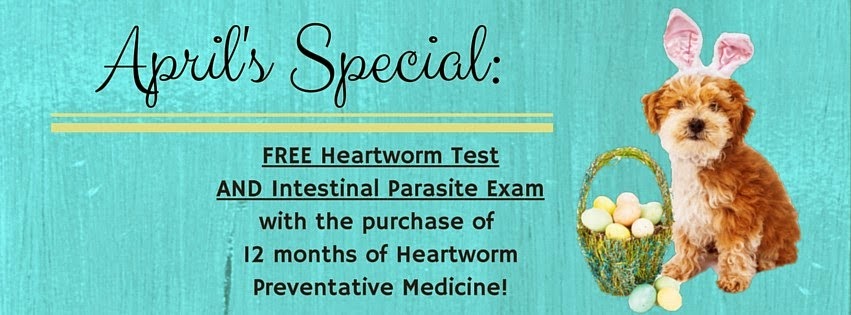 Lake Pointe Veterinary Hospital - Amelia , United States